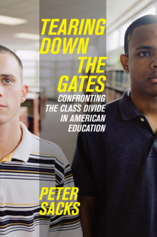 Book Tearing Down the Gates Peter Sacks