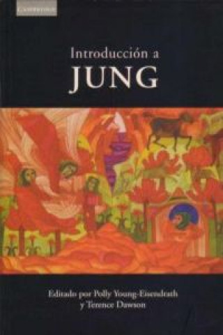 Könyv Introduccion a Jung YOUNG-EISENDRATH