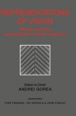 Kniha Representations of Vision Etc