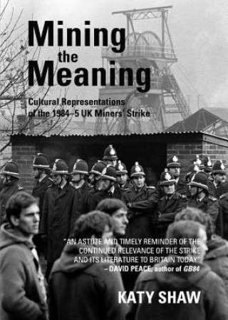 Knjiga Mining the Meaning Katy Shaw