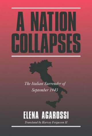 Книга Nation Collapses Elena Agarossi