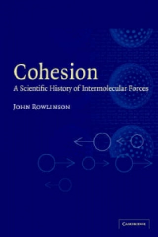 Książka Cohesion John Rowlinson