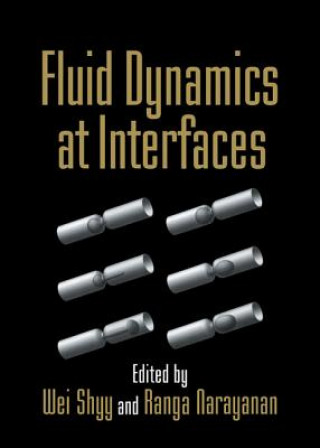 Książka Fluid Dynamics at Interfaces Ranga Narayanan