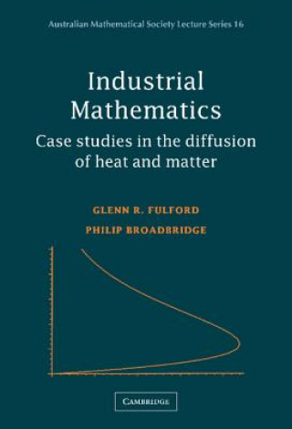 Книга Industrial Mathematics Fulford