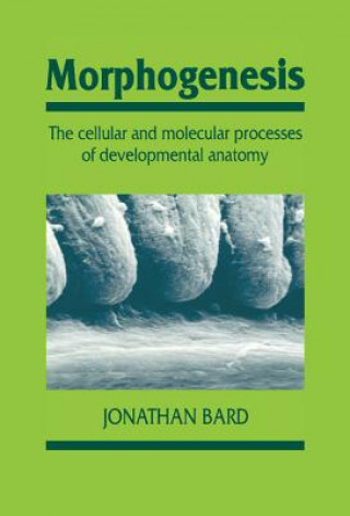 Kniha Morphogenesis Jonathan Bard