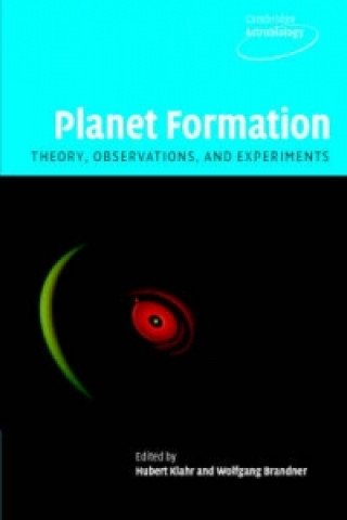 Könyv Planet Formation Wolfgang Brandner