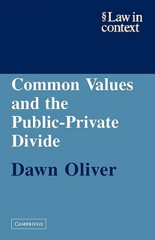 Buch Common Values and the Public-Private Divide Oliver