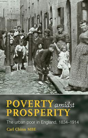 Kniha Poverty Amidst Prosperity Carl Chinn