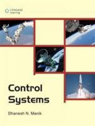 Livre Control Systems Dhanesh N Manik