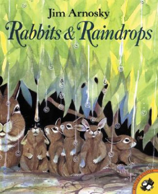 Knjiga RABBITS RAINDROPS PB ARNOSKY