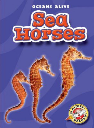 Könyv SEA HORSES PB HERRIGES