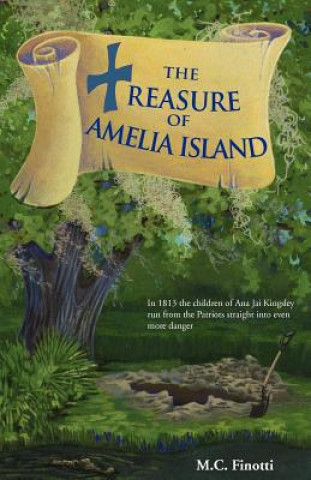 Kniha Treasure of Amelia Island M C Finotti