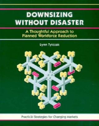 Könyv Downsizing without Disaster Lynn Tylczak