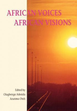 Kniha African Voices, African Visions 