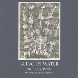 Knjiga Being in Water Richard Gwyn