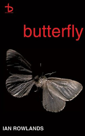 Kniha Butterfly Ian Rowlands
