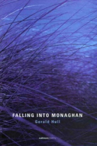 Carte Falling into Monaghan Gerald Hull