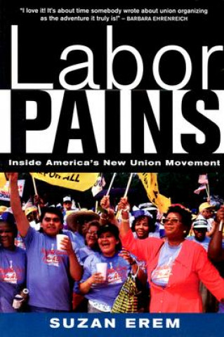 Livre Labor Pains Suzan Erem