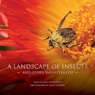 Carte landscape of insects and other invertebrates Shem Compion