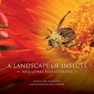 Libro landscape of insects and other invertebrates Shem Compion