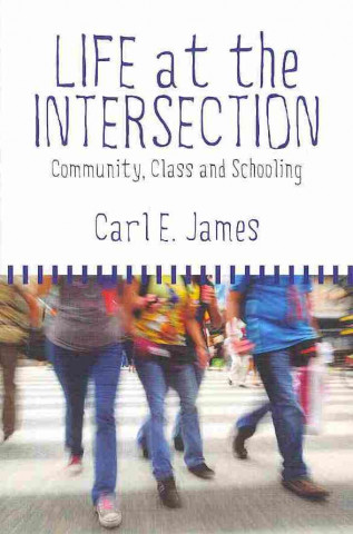 Buch Life at the Intersection Carl E. James