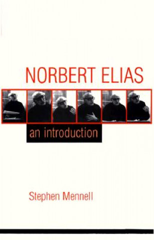 Buch Norbert Elias Stephen Mennell