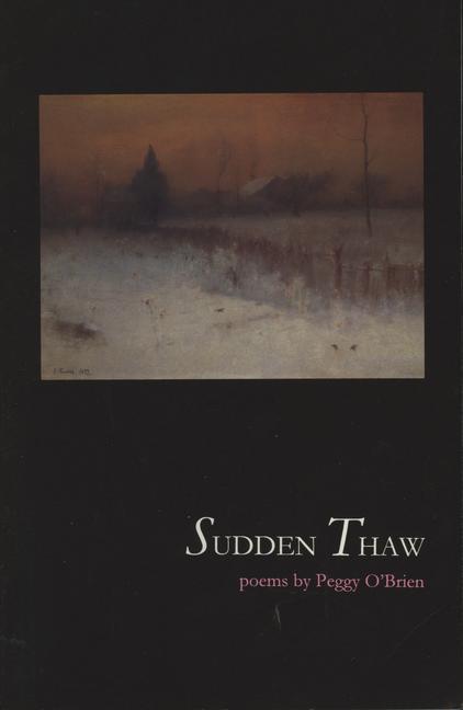 Kniha Sudden Thaw Peggy O'Brien