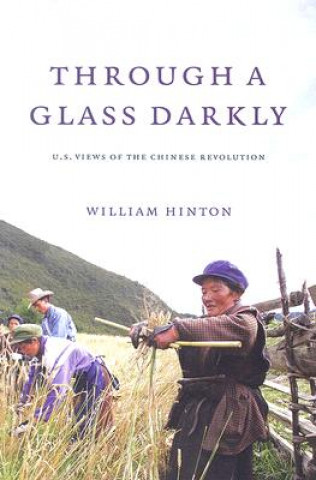 Kniha Through a Glass Darkly William Hinton