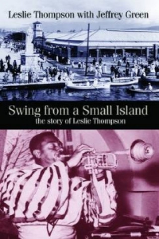 Kniha Swing from a Small Island Jeffrey Green