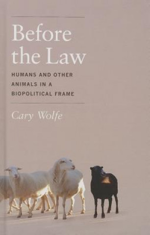 Könyv Before the Law Cary Wolfe
