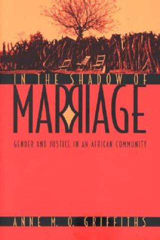 Book In the Shadow of Marriage Anne Griffiths