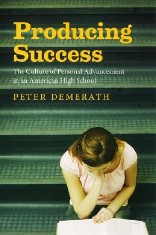 Kniha Producing Success Peter Demerath