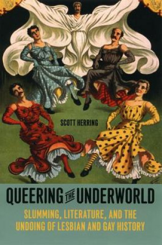 Buch Queering the Underworld Scott Herring