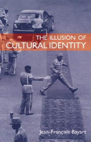 Książka Illusion of Cultural Identity J-F Bayart