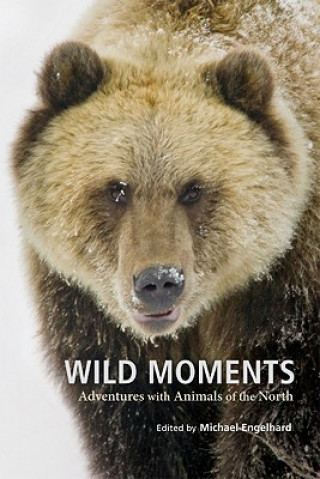 Kniha Wild Moments Michael Engelhard