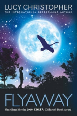 Książka Flyaway Lucy Christopher