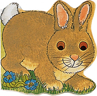 Kniha Pocket Bunny M. Twinn