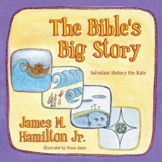 Könyv Bible's Big Story Hamilton