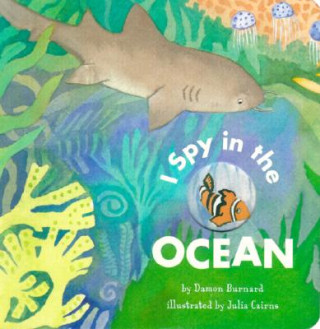 Book I Spy in the Ocean Julia Cairns