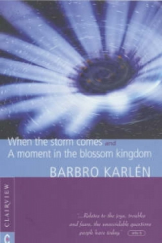 Kniha When the Storm Comes Barbro Karlen