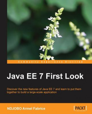 Carte Java EE 7 First Look Ndjobo Armel Fabrice