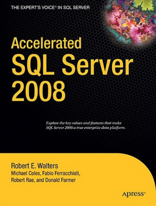 Kniha Accelerated SQL Server 2008 Robert Rae