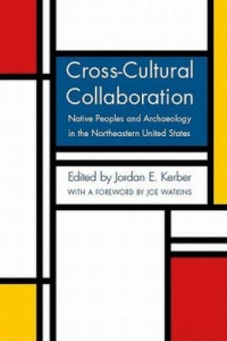 Βιβλίο Cross-Cultural Collaboration 