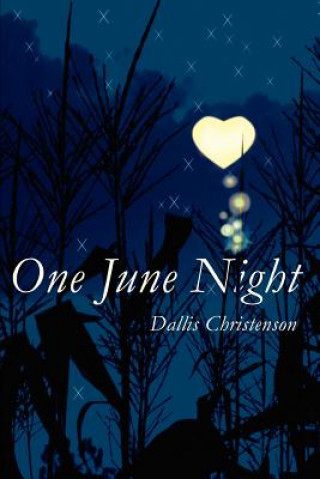 Knjiga One June Night Dallis J Christenson