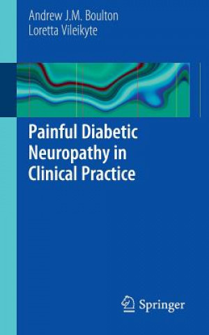 Livre Painful Diabetic Neuropathy in Clinical Practice Loretta Vileikyte