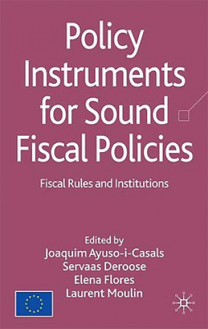 Könyv Policy Instruments for Sound Fiscal Policies Joaquim Ayuso-i-Casals