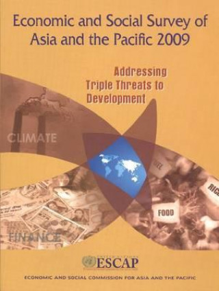 Książka Economic and Social Survey of Asia and the Pacific 2009 United Nations: Economic and Social Commission for Asia and the Pacific