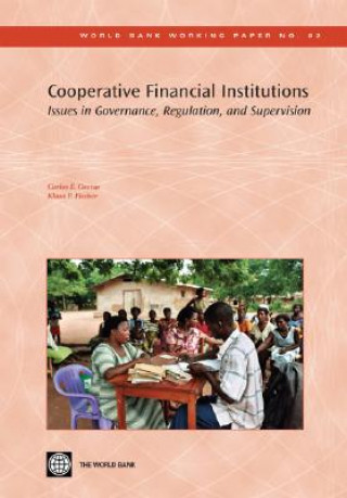 Kniha Cooperative Financial Institutions Klaus P. Fischer