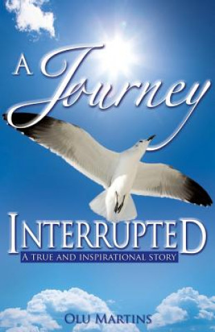 Книга Journey Interrupted Olu Martins