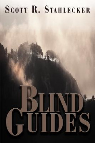 Buch Blind Guides Scott R Stahlecker
